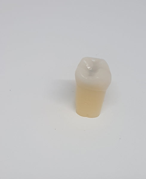 A27#37 3.7 O Composite Resin Teeth with Caries Kilgore Teeth Nissin