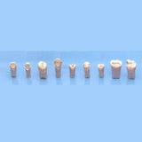 A21-UL41 (2.4) Pre-Prepared Teeth Kilgore Nissin-A21-UL41-Kilgore Int