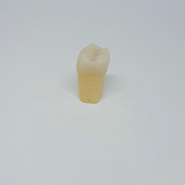 A27 #46K 4.6 MOD Minimal Composite Resin Teeth with Caries Kilgore Teeth Nissin