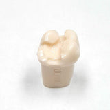 A21-UL66L (2.6) #14MOD-B Pre-Prepared Teeth Kilgore Nissin