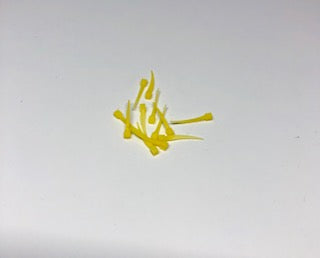 G-Wedge Garrison plastic Wedges-Extra Small-Yellow/10