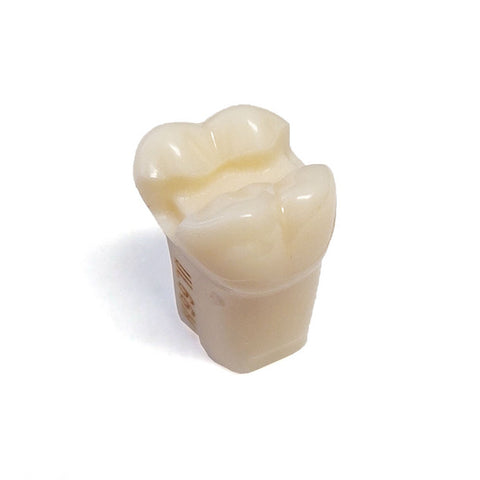 A21-UL66H (2.6) MOD Pre-Prepared Teeth Kilgore Nissin