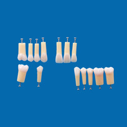 A20AN-200#20 (3.5) Composite Teeth (Hard enamel/Soft Dentin) Natural Hardness-A20AN-200#20-Kilgore Int