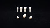 A5A-200#12 (2.4) Upper Left 1st Pre-molar Kilgore Teeth Nissin-A5A-200#12-Kilgore Int
