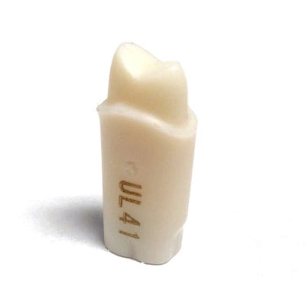 A21-UL41 (2.4) Pre-Prepared Teeth Kilgore Nissin