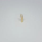 A27#22C 2.2 Class III MD (Minimal) Composite Resin Teeth with Caries Kilgore Teeth Nissin