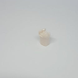 A21-UL66F (2.6) MODL ONLAY PRECUT Teeth Kilgore Nissin