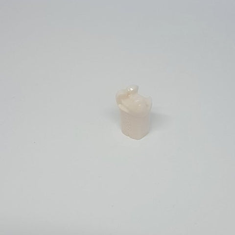 A21-UL66F (2.6) MODL ONLAY PRECUT Teeth Kilgore Nissin