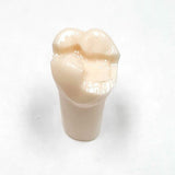 A21-UL66L (2.6) #14MOD-B Pre-Prepared Teeth Kilgore Nissin