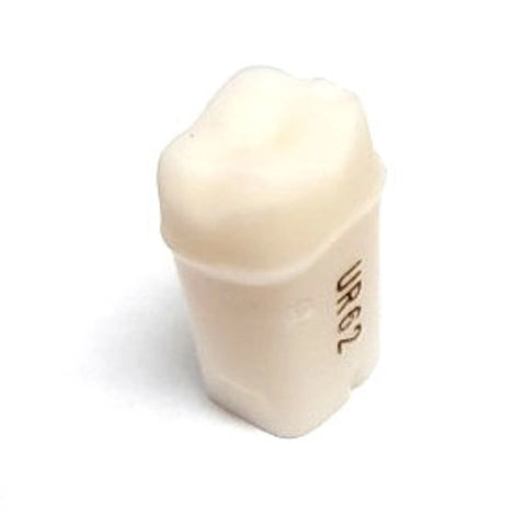 A21-UR62 (1.6) 3 Crown Pre-Prepared Teeth Kilgore Nissin
